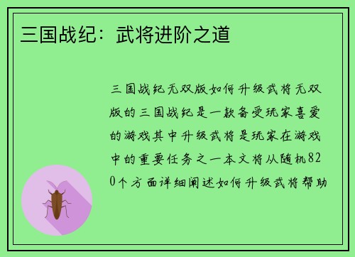 三国战纪：武将进阶之道